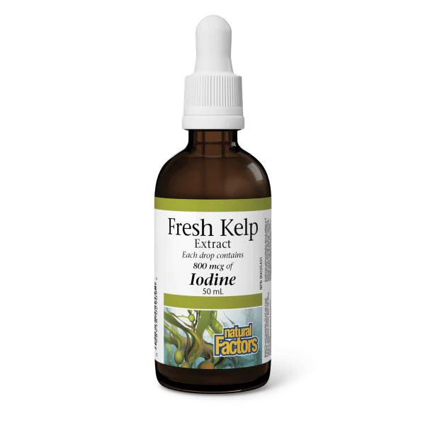 Natural Factors - Fresh Kelp Extract 800 mcg - 50ml