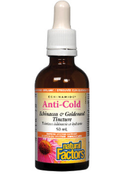 Natural Factors - Echinamide Anti-Cold Echinacea & Goldenseal Tincture - 50ml