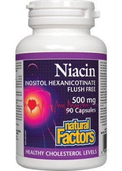 Natural Factors - Flush Free Niacin 500mg - 90 Capsules